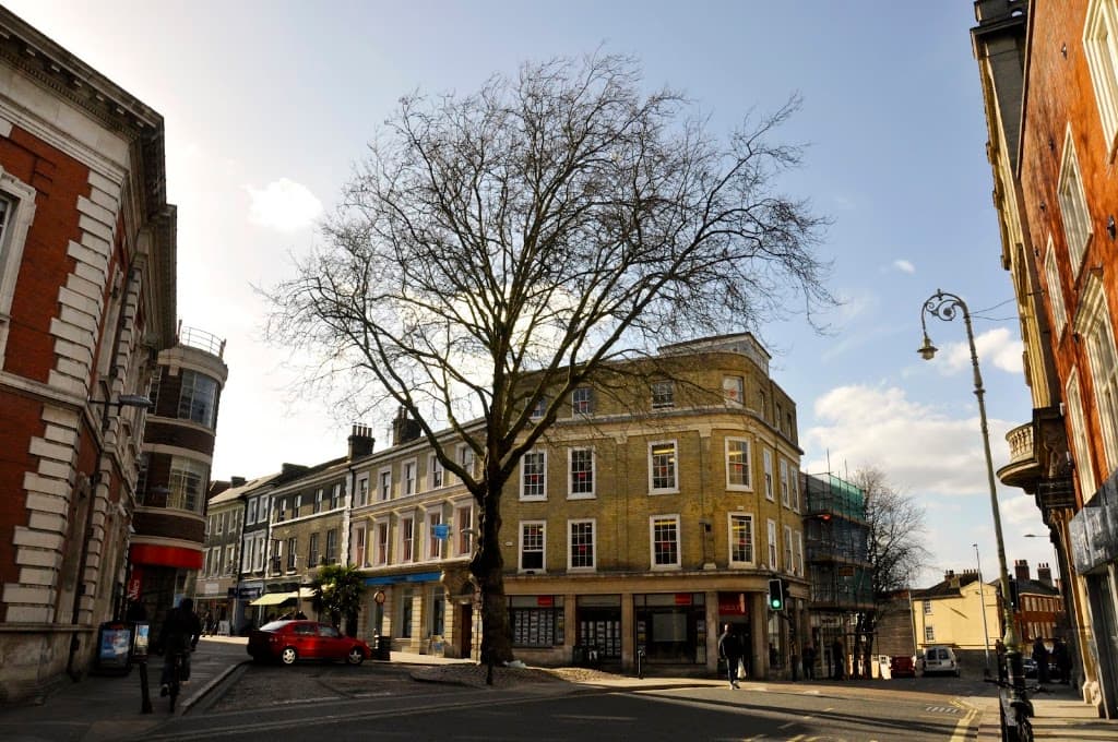 Watsons Property Group Ltd