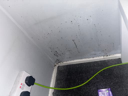 Kingston Property Services Limited — Customer photo