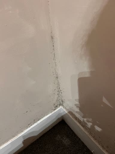 DJ Alexander Estate & Letting Agents - Aberdeen — Customer photo