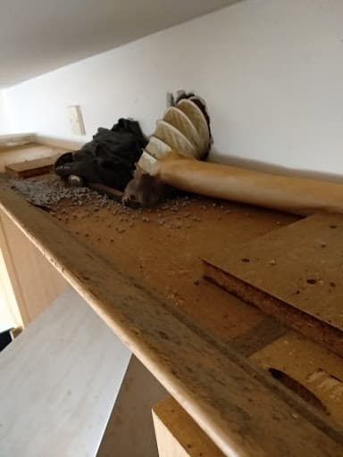 Property People Estate & Letting Agents South Belfast — Customer photo